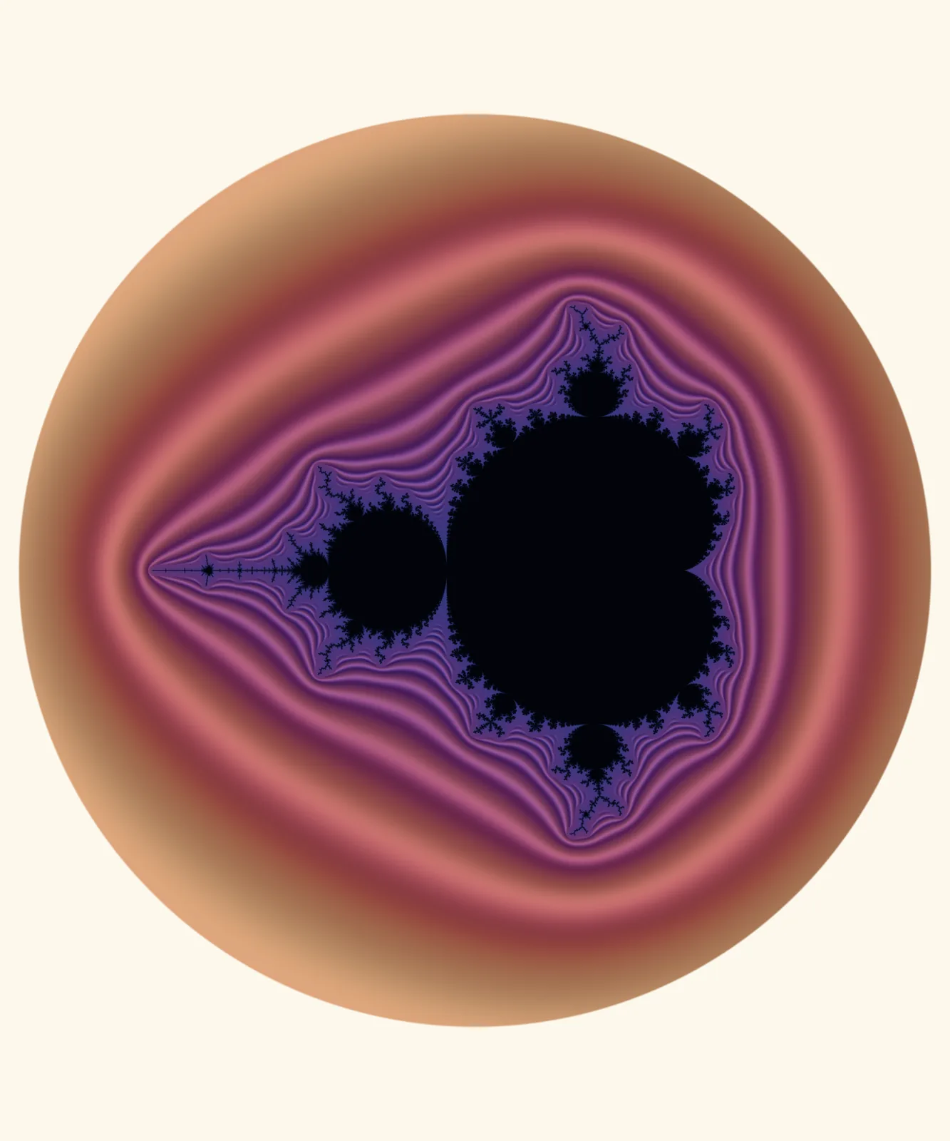 The Mandelbrot Set